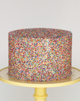 Rainbow Sprinkle Explosion Celebration Cake