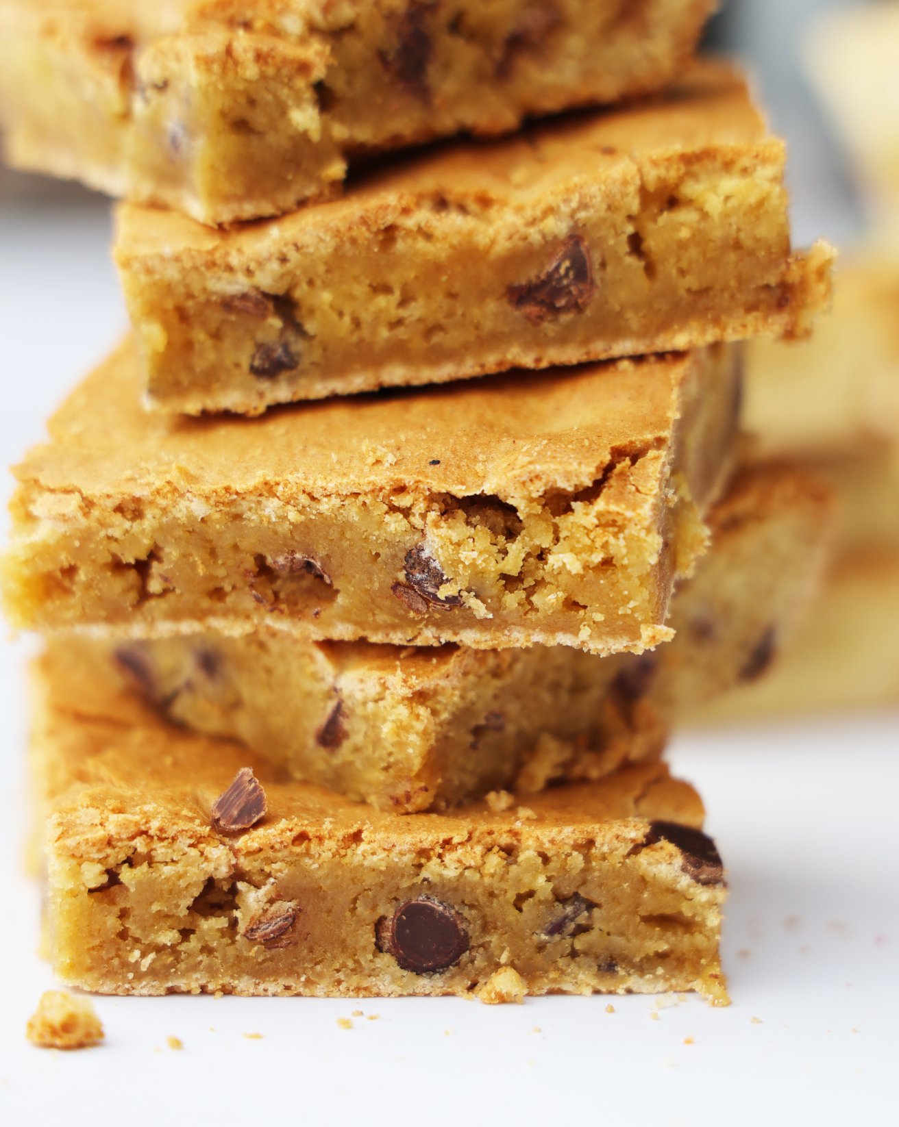 Homestyle Chocolate Chip Bar 9x13