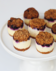 Mini Blueberry Crumb Cheesecakes - DAIRY (12)