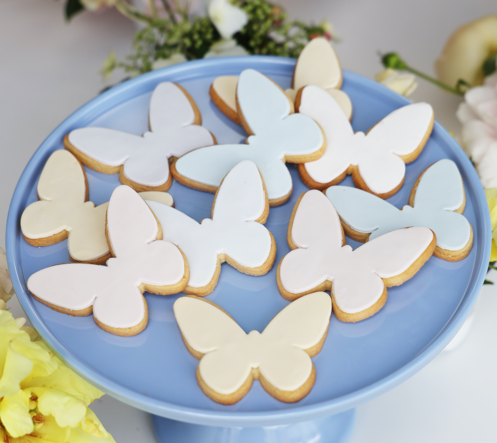 Zest Flower Shop Ombre Butterfly Cookies Set (12)