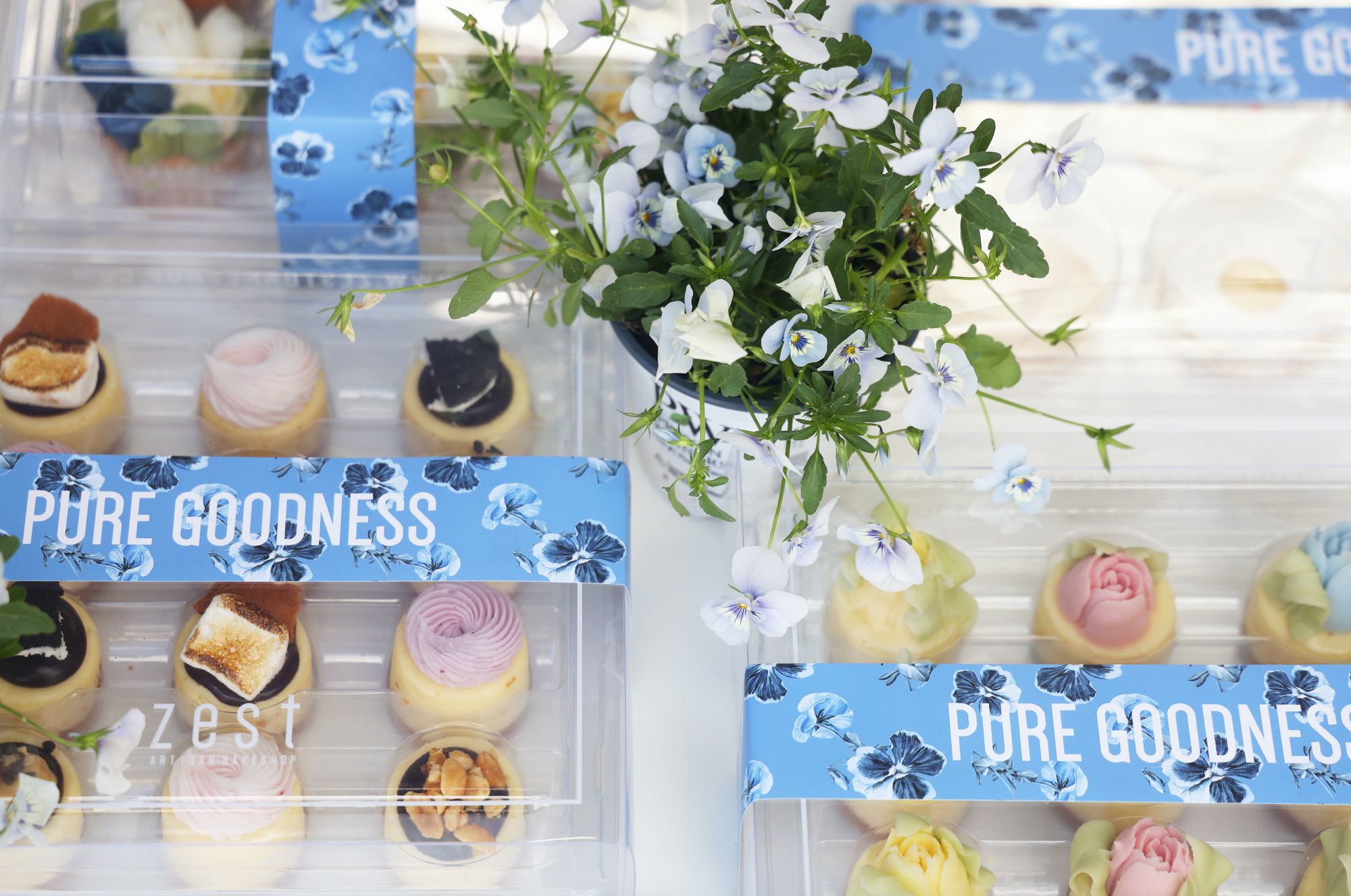 Zest Flower Shop Tulip Mini Cheesecakes