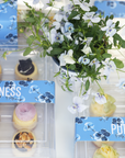 Mini Cheesecake Flavor Sampler Gift Box