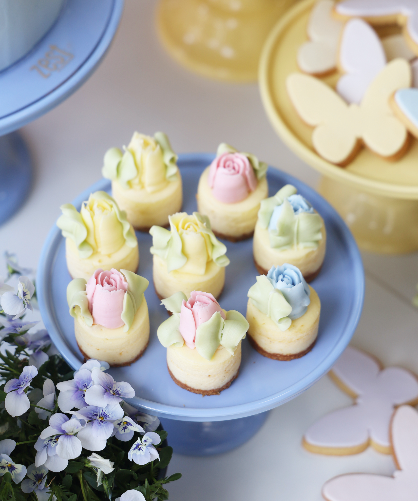Zest Flower Shop Tulip Mini Cheesecakes