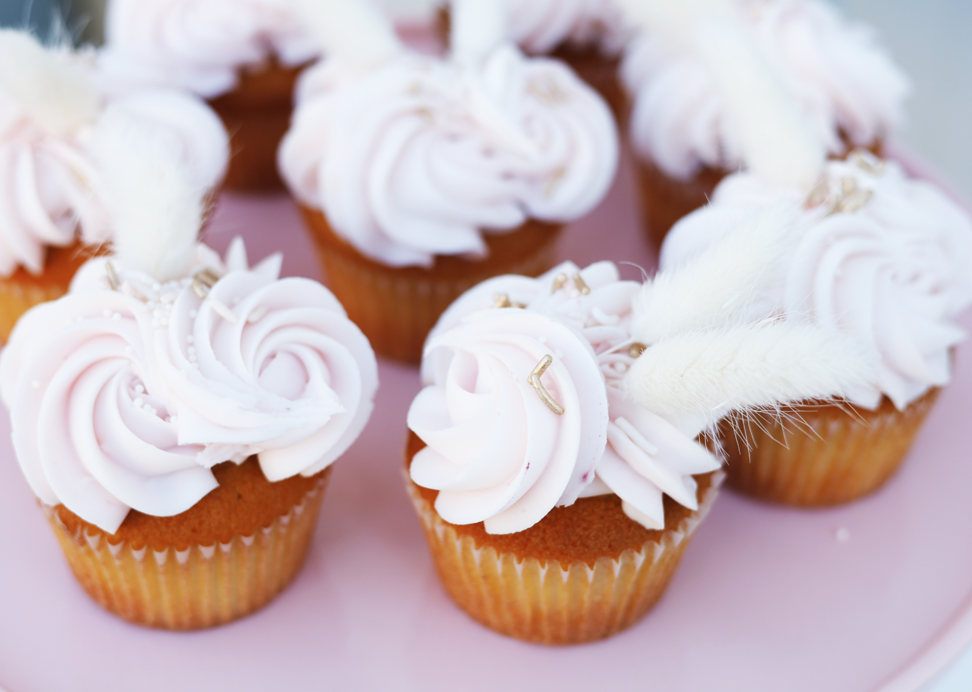 Pink Celebration Cupcakes