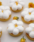 Individual Flower Lemon Meringue Tarts (6)