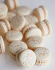 Pastel Watercolor Florals Macaron Set (12)