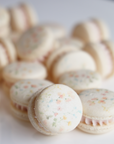 Pastel Watercolor Florals Macaron Set (12)