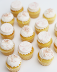 Pink Toile Mini Cupcake Set (24)