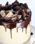 Peanut Butter Chocolate Celebration Cake