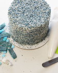 DIY Chanuka Sprinkle Explosion Candy Cake