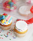 Happy Purim Candy Cupcake Box- Set of 2 Cupcakes
