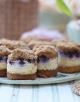 Mini Blueberry Crumb Cheesecakes - DAIRY (12)
