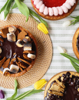 S'mores Cheesecake- DAIRY