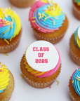 Tie Dye Graduation Cupcakes Set