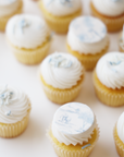 Blue Toile Mini Cupcake Set (24)