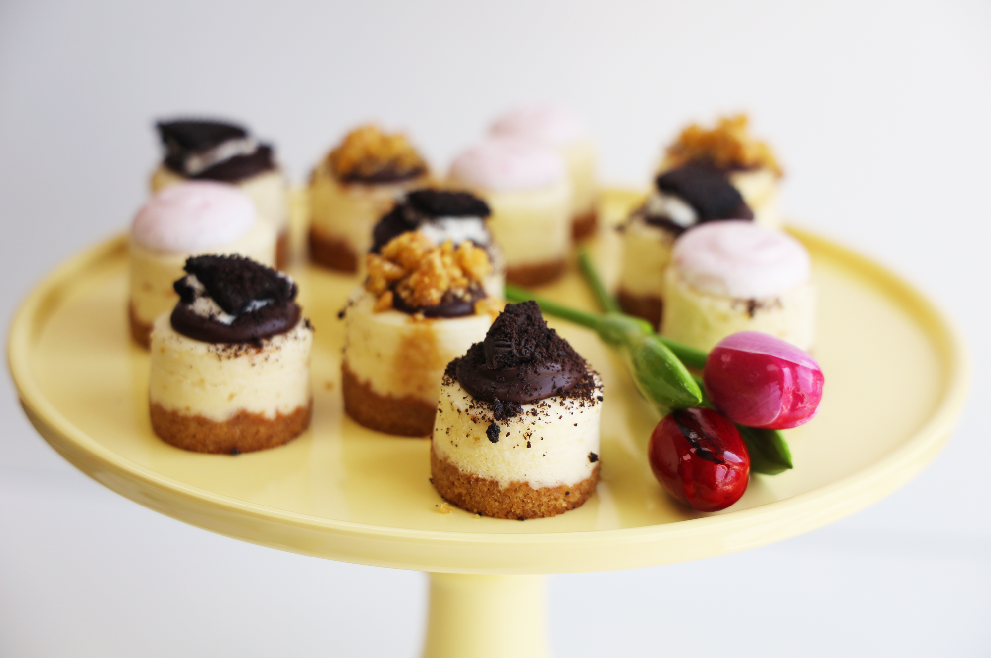 Mini Cheesecakes Assortment Box- DAIRY (12)