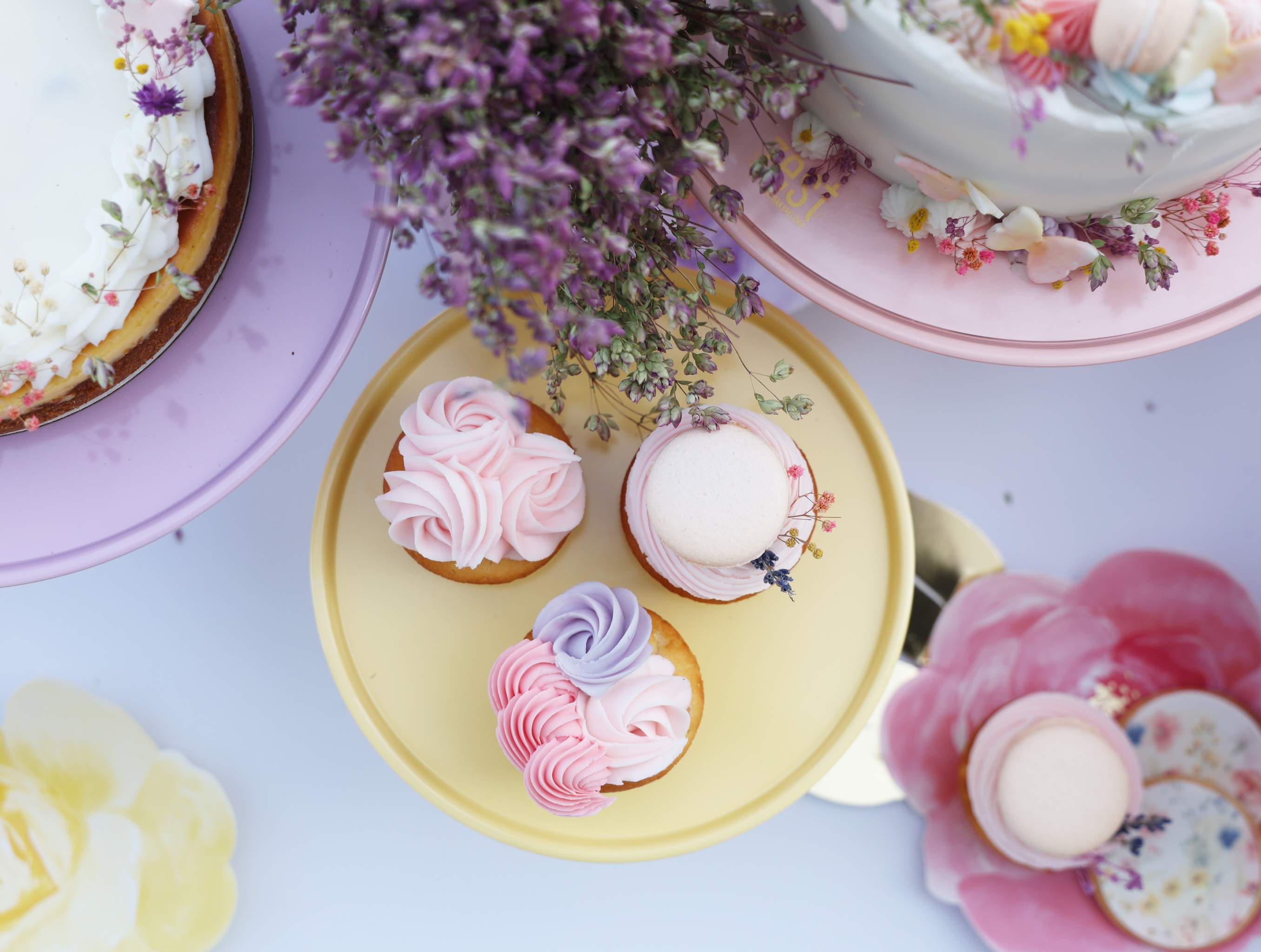 Le Jardin Floral Cupcake Set (12)