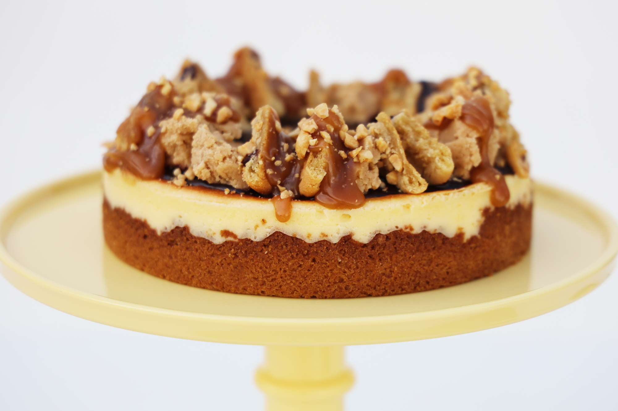 Double Peanut Butter Overload Cheesecake-DAIRY