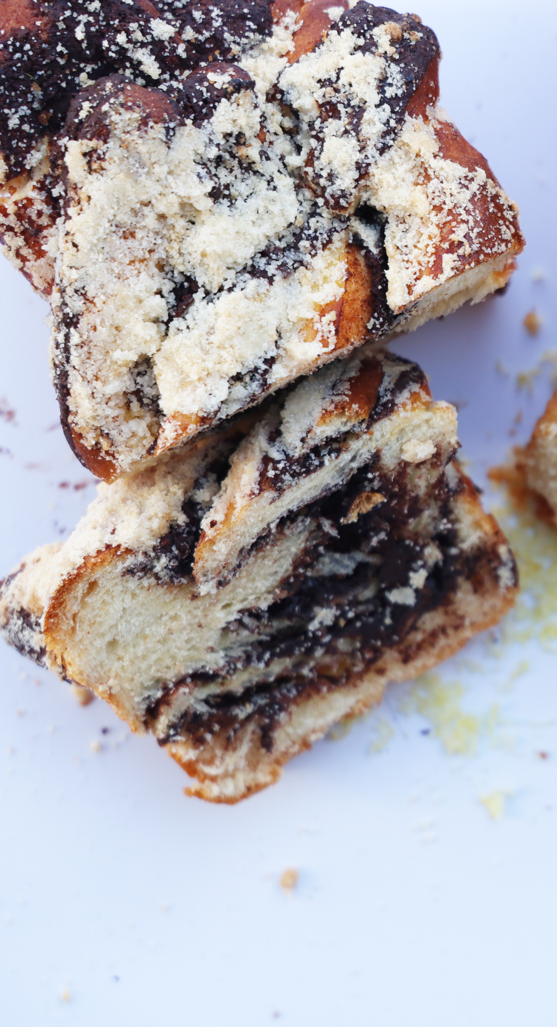 Chocolate Babka Loaf