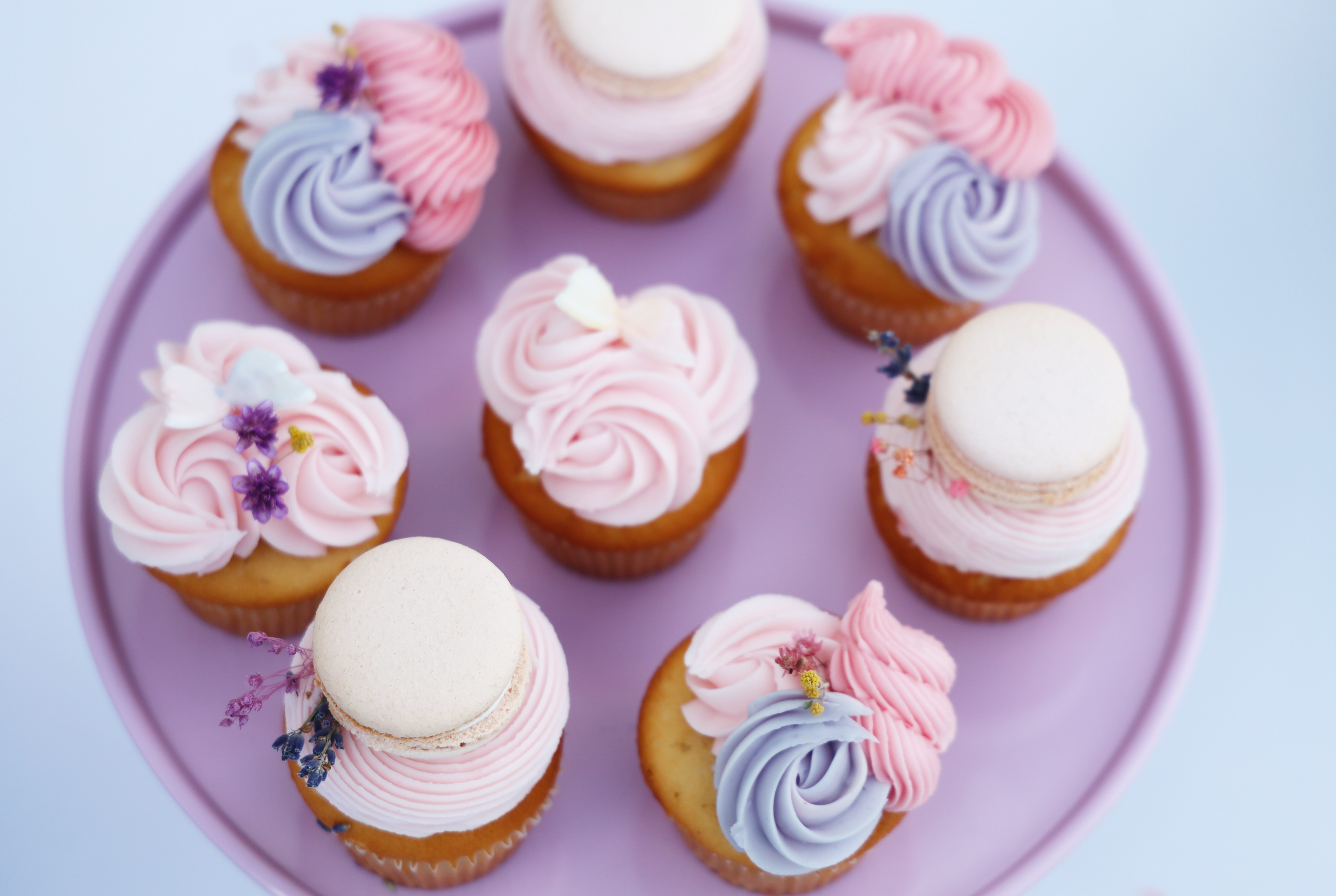 Le Jardin Floral Cupcake Set (12)