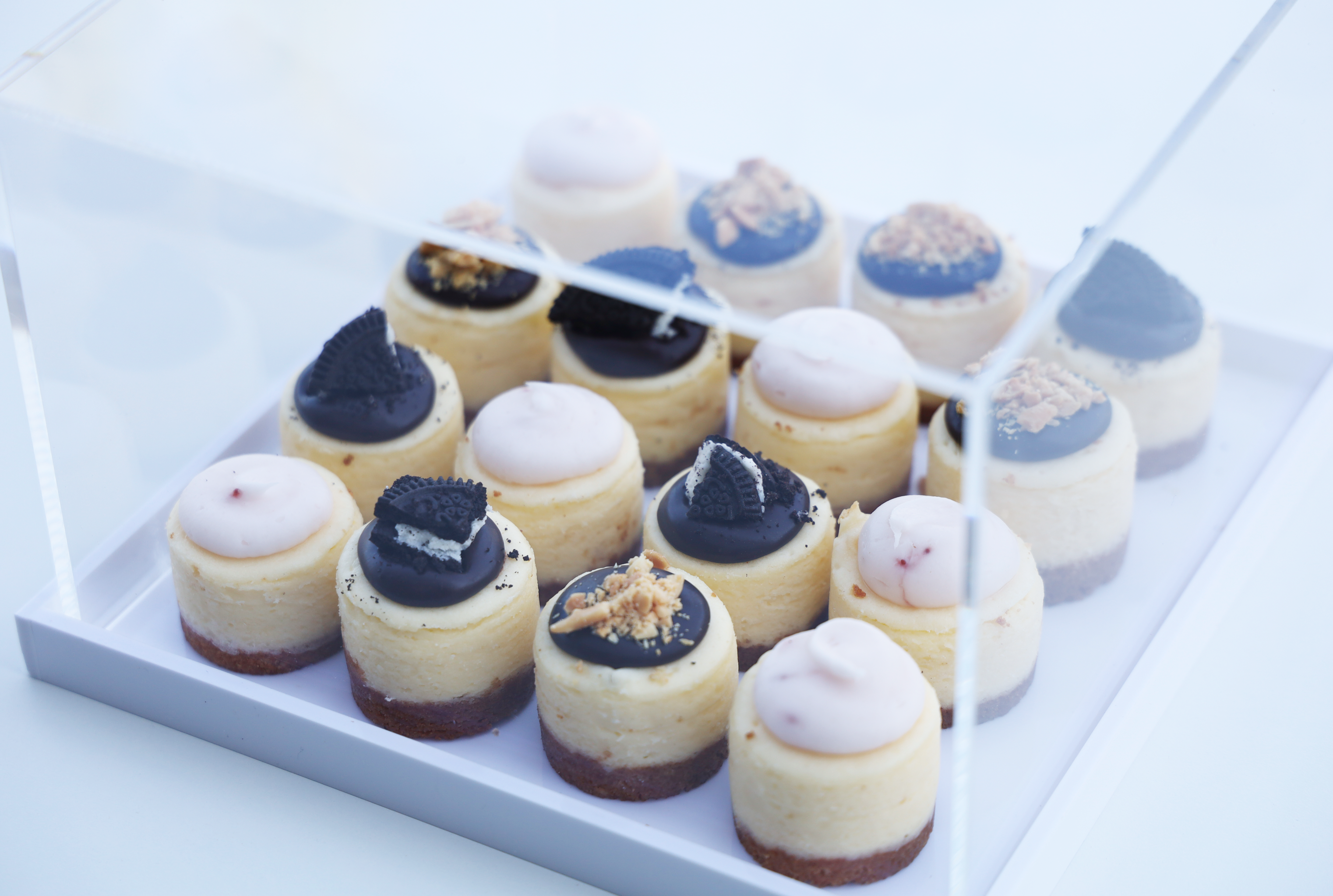Assorted Mini Cheesecakes in Lucite Dome