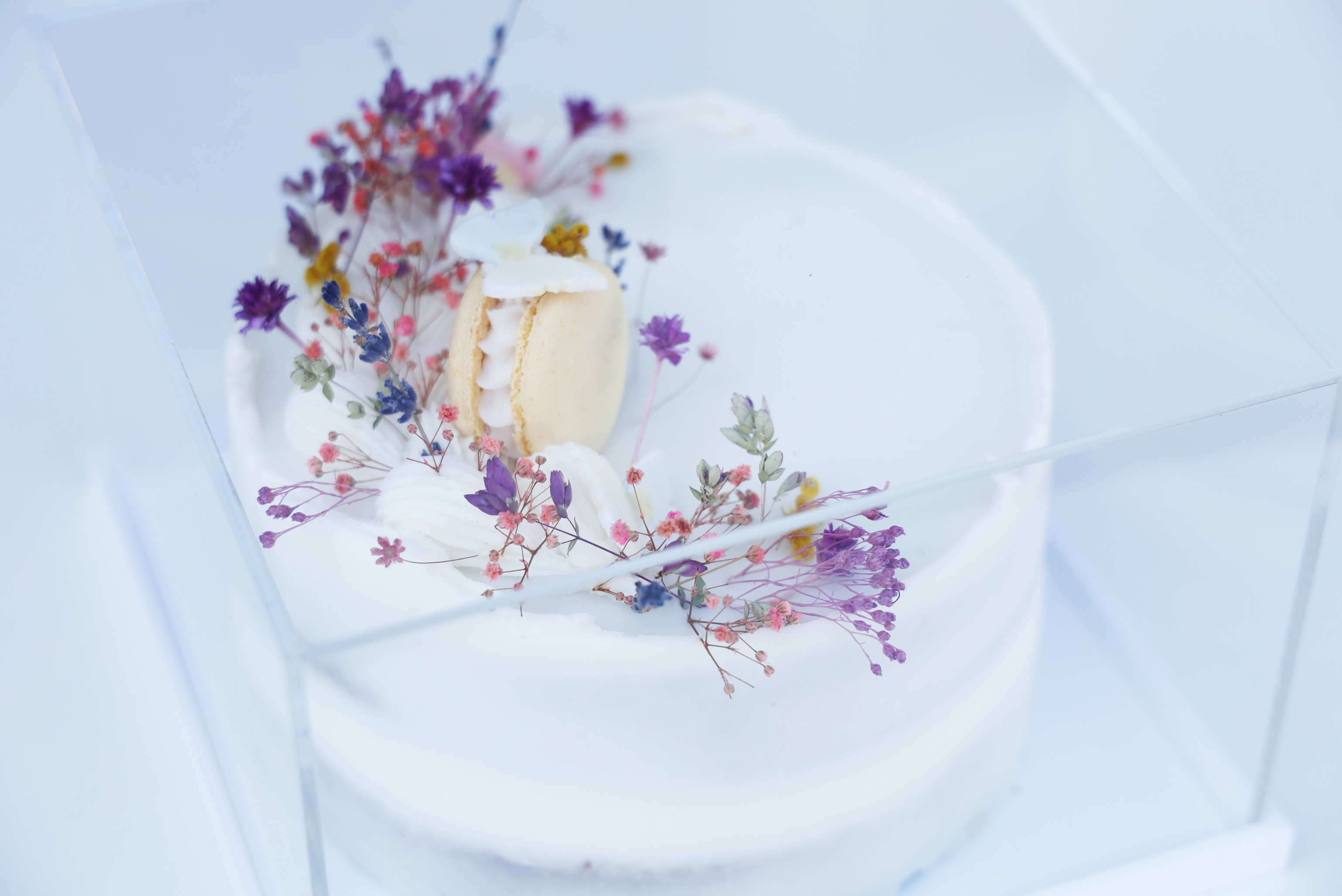 Le Jardin Floral Cake in Lucite Dome