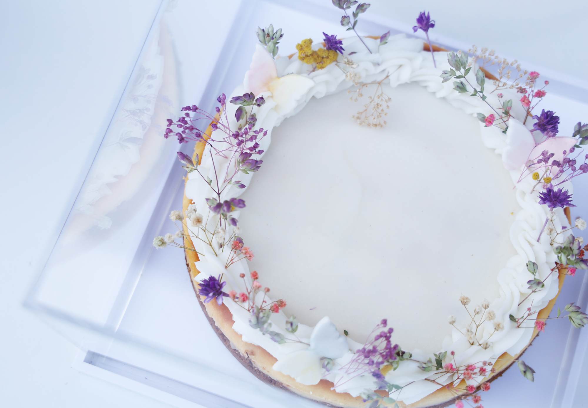 Le Jardin Cheesecake in Lucite Dome