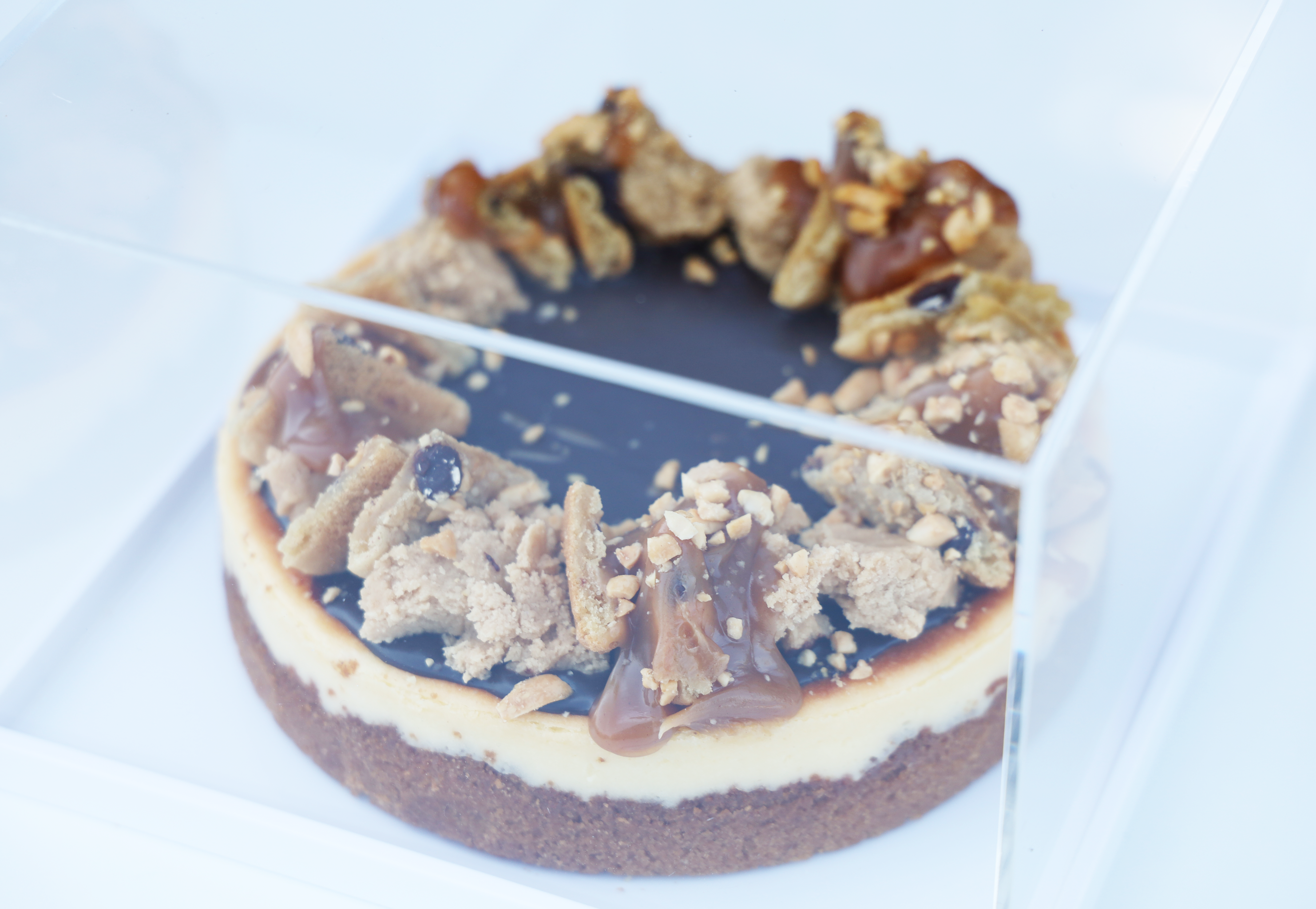 Cheesecake in Lucite Display Box