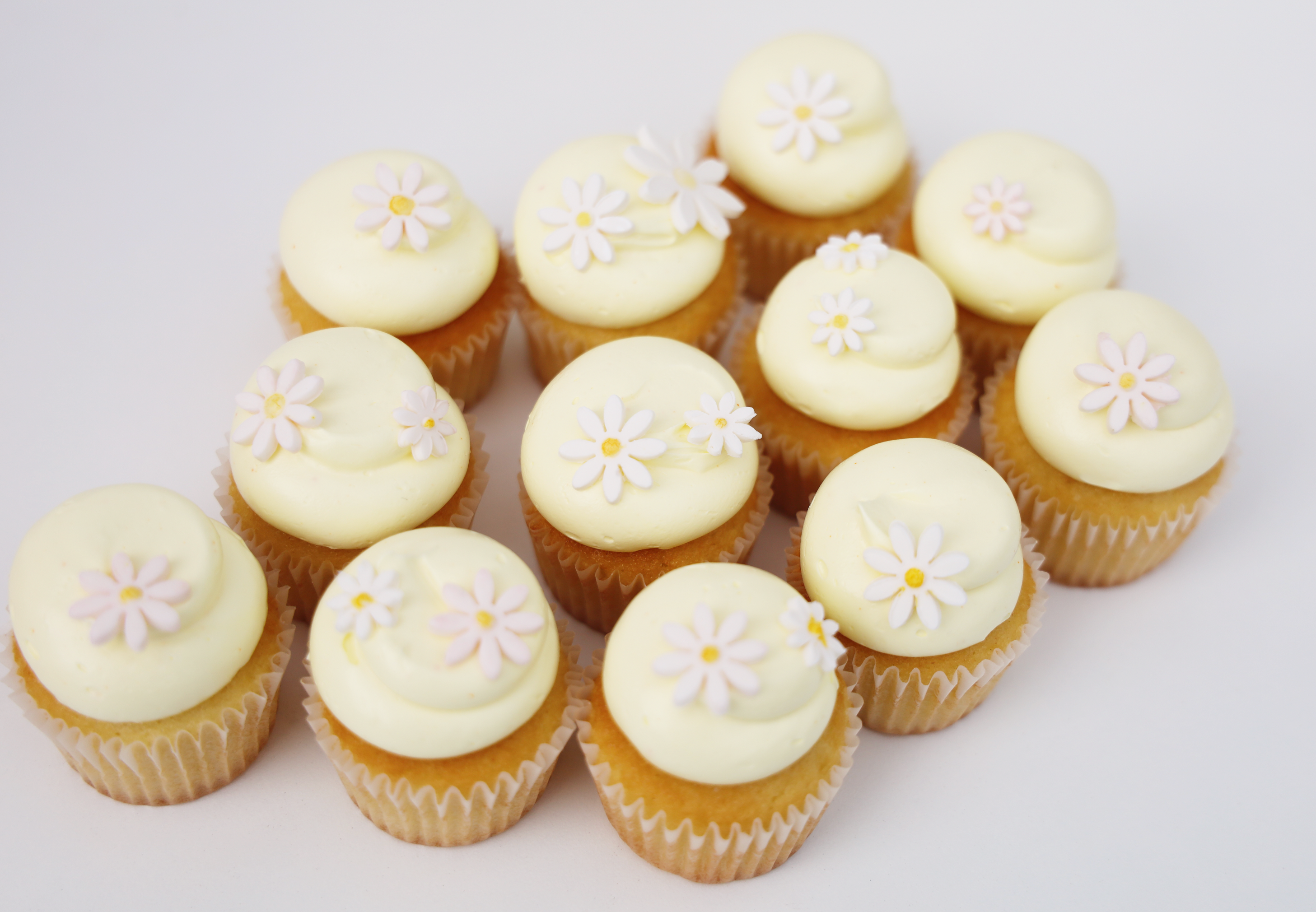 24 Mini Daisy Cupcakes