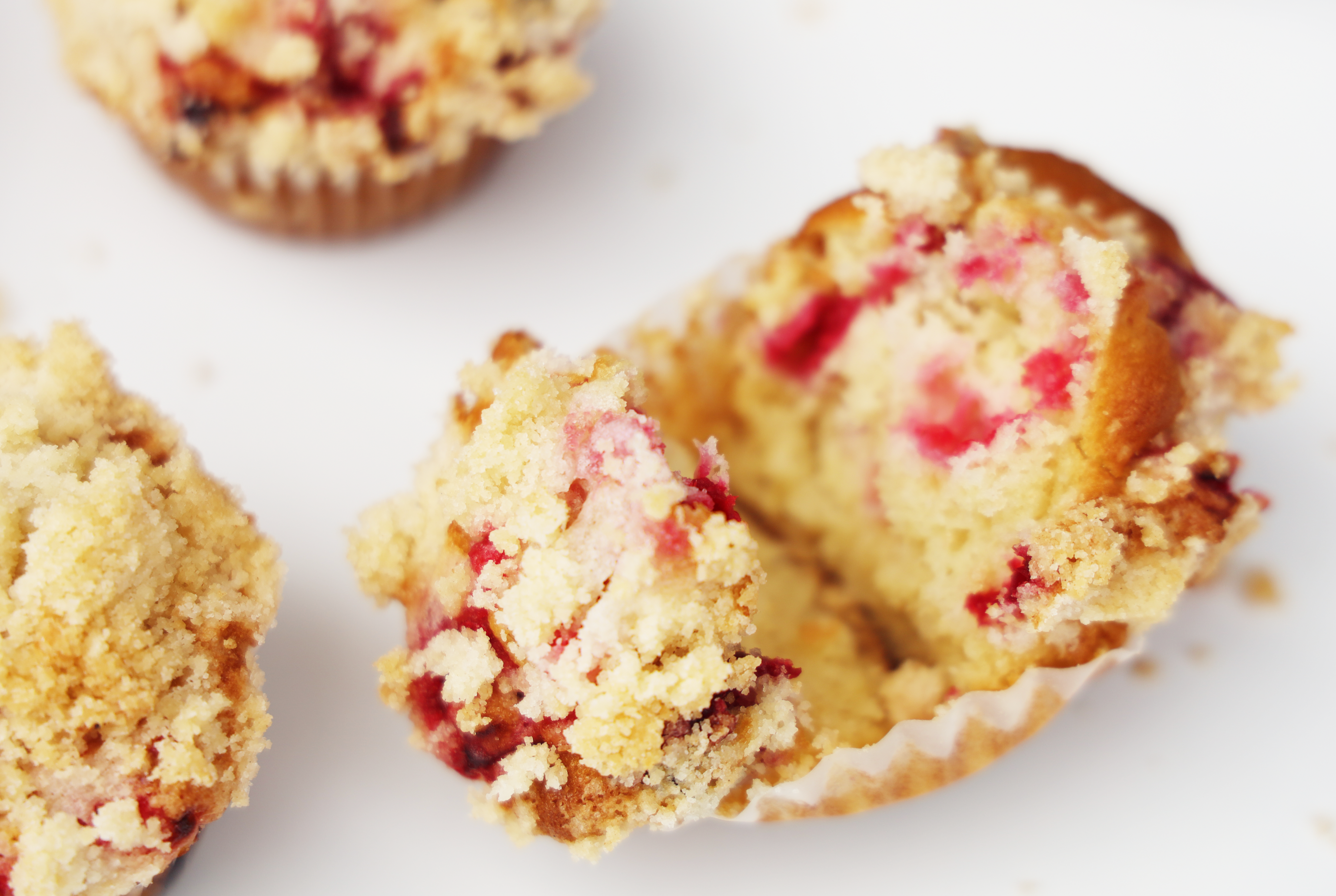 Cranberry Crumb Muffins