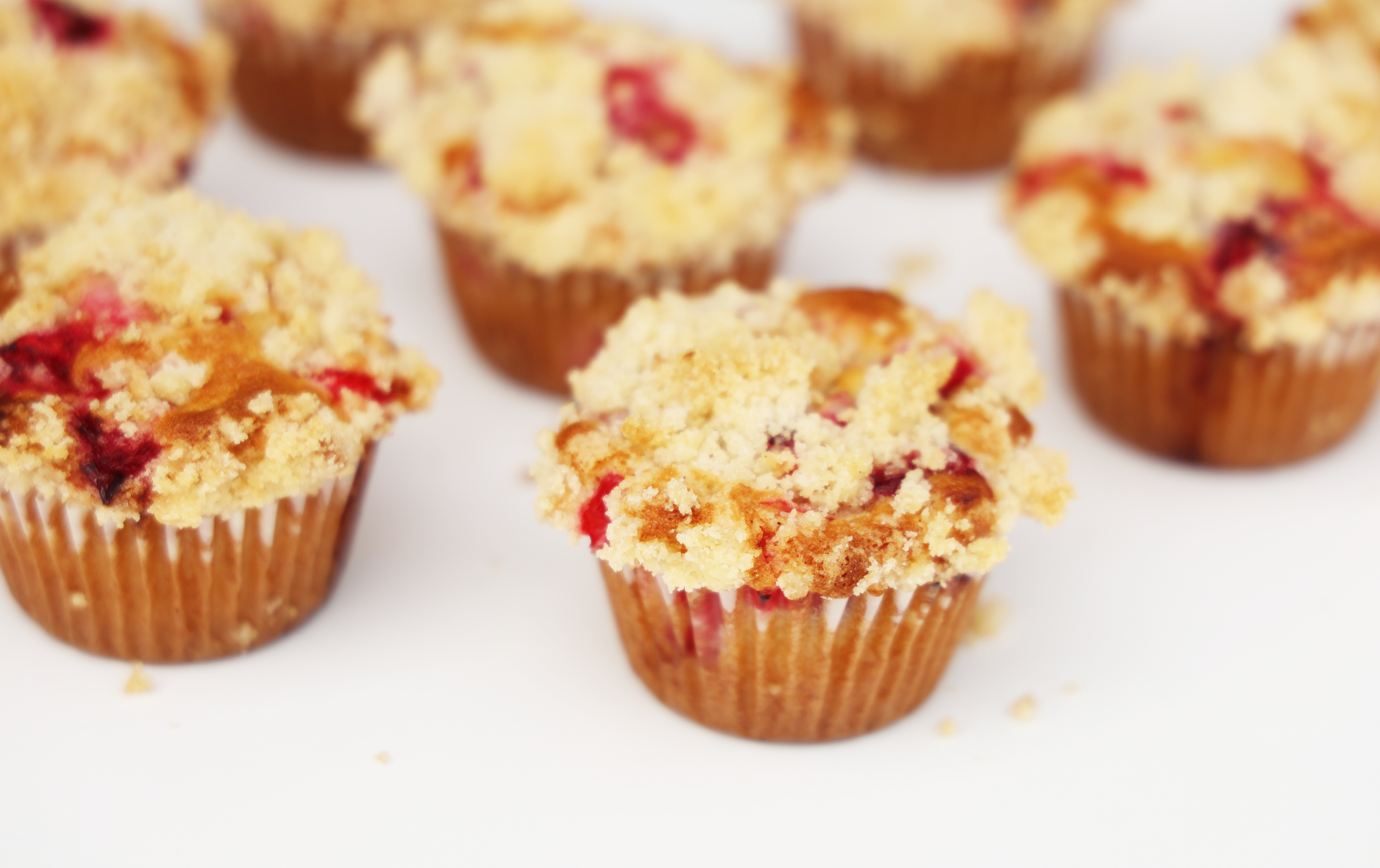 Cranberry Crumb Muffins