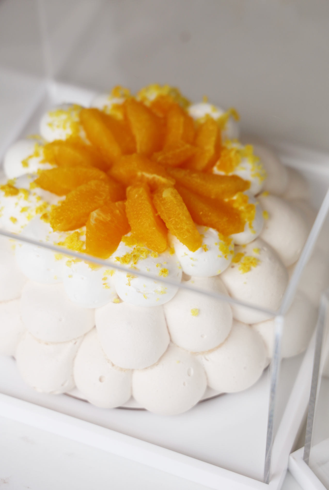 Pavlova in Lucite Display Box