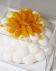 Pavlova in Lucite Display Box