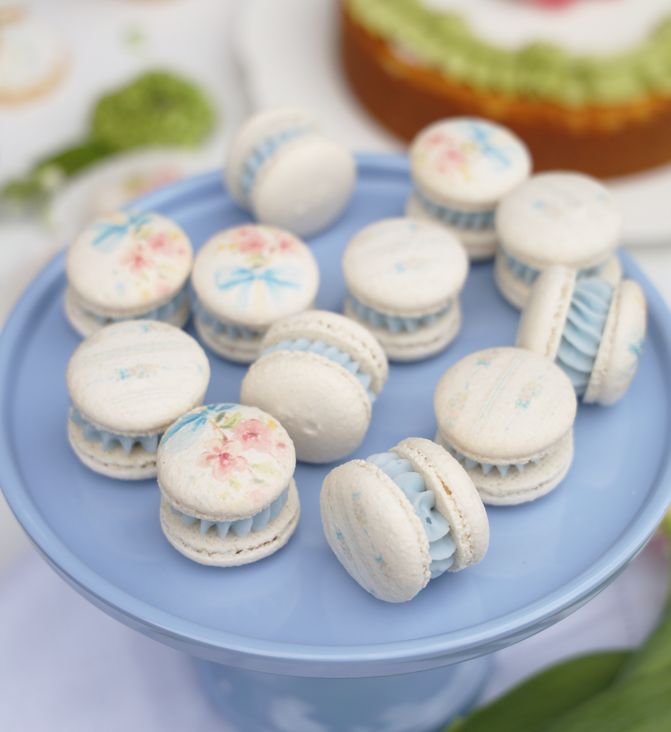 Scattered Blooms Macaron Set (12)