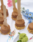 Peanut Butter Crunch Cheesecake Pop- DAIRY (12)
