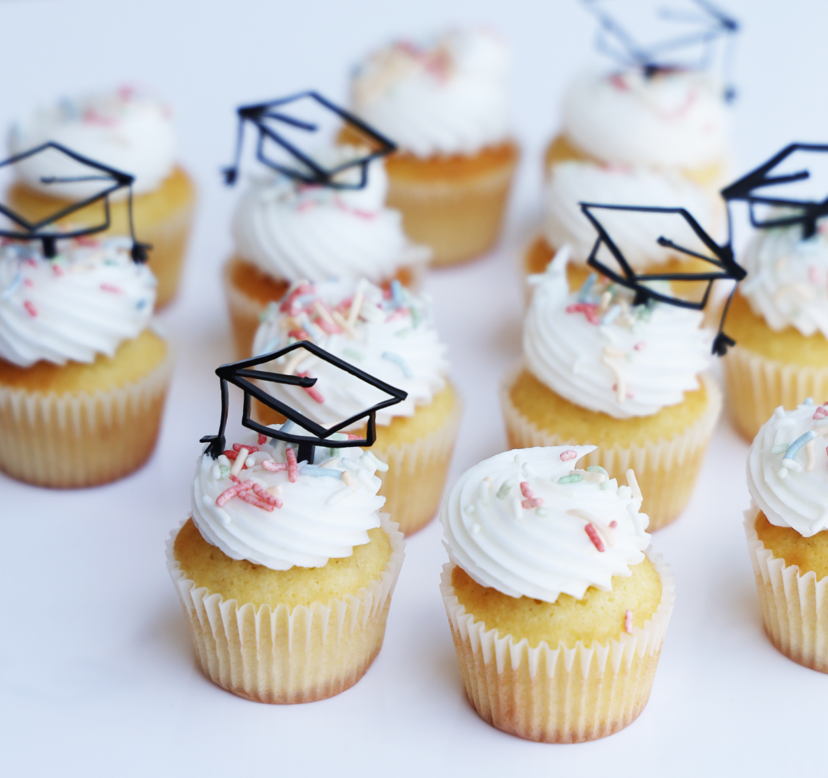 2026 Grad Collection Mini Cupcakes with Toppers