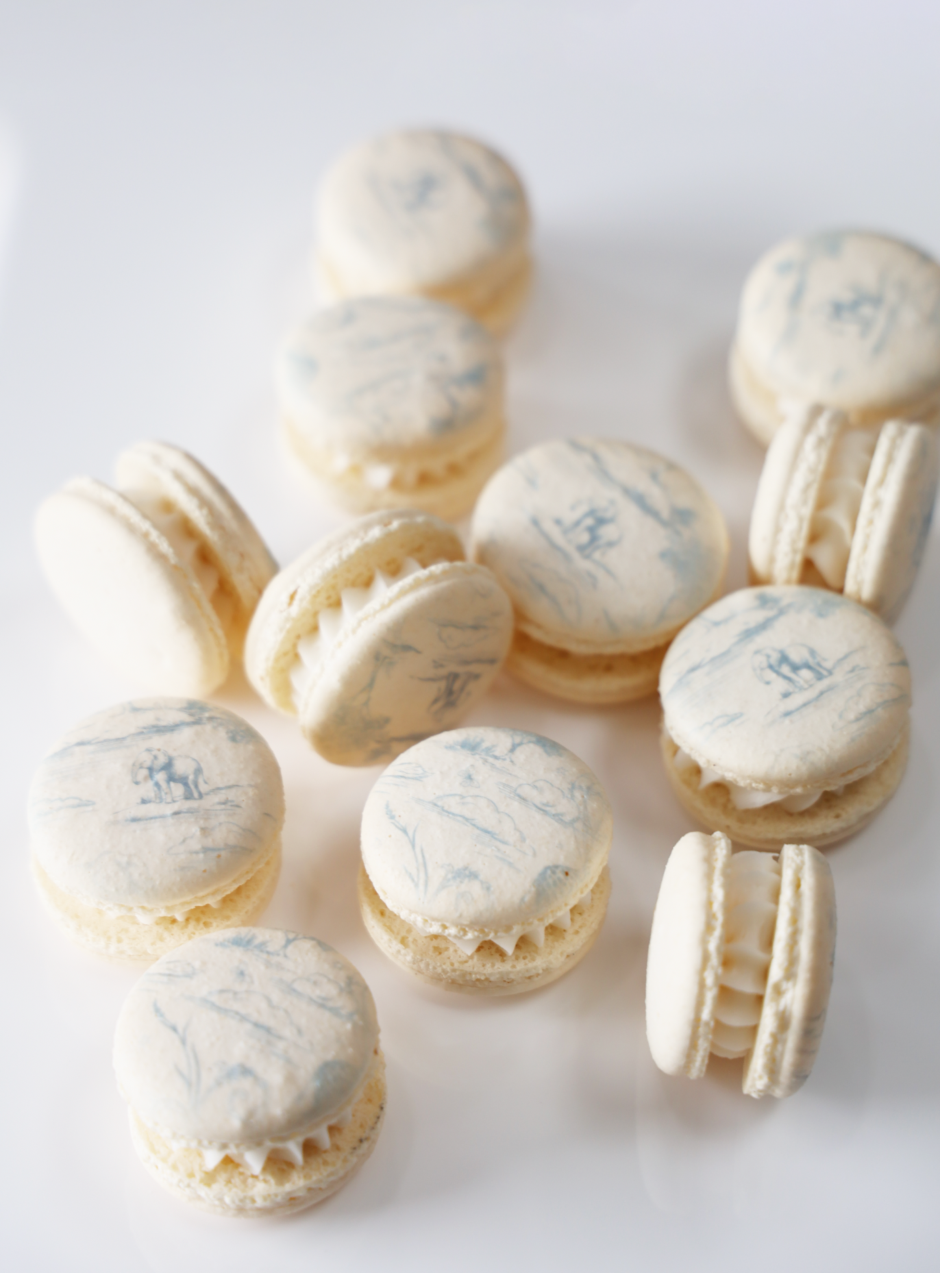 Baby Blue Toile Macaron Set (12)