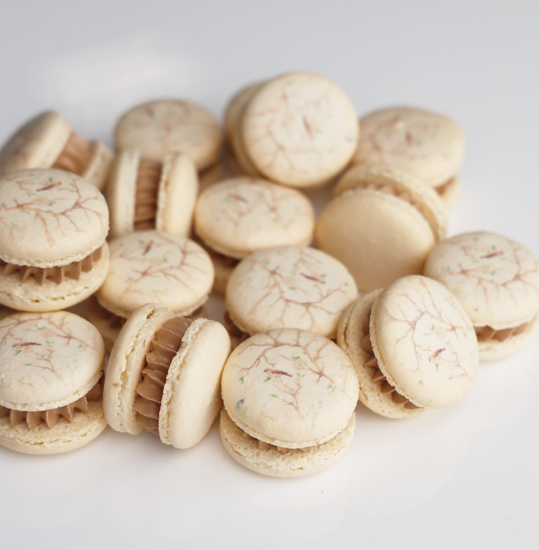 Bird Florals Macaron Set (12)