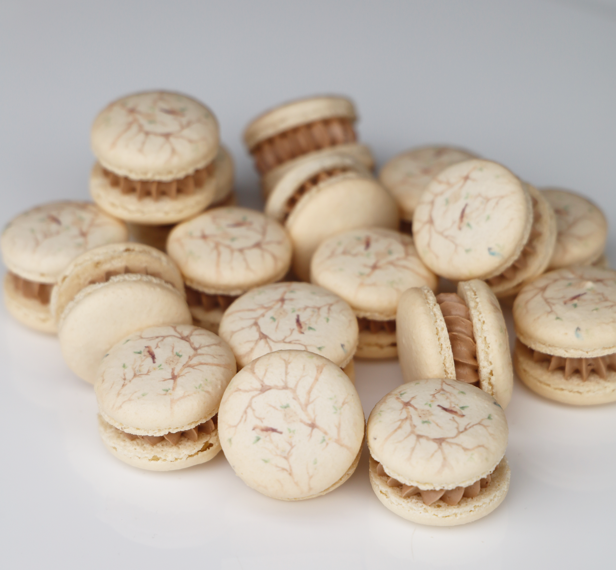 Bird Florals Macaron Set (12)