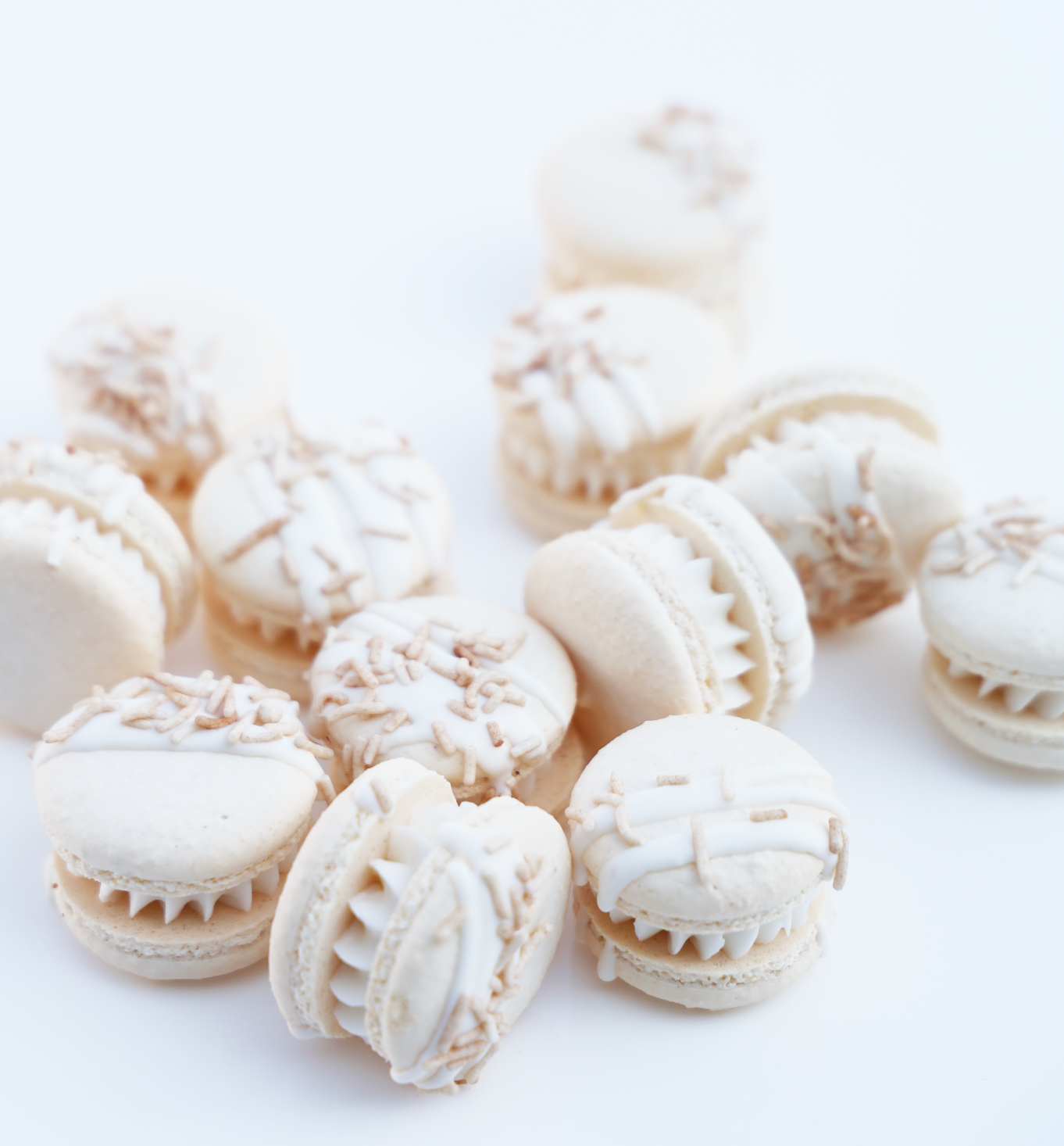 Taupe Sprinkles Macaron Set (12)