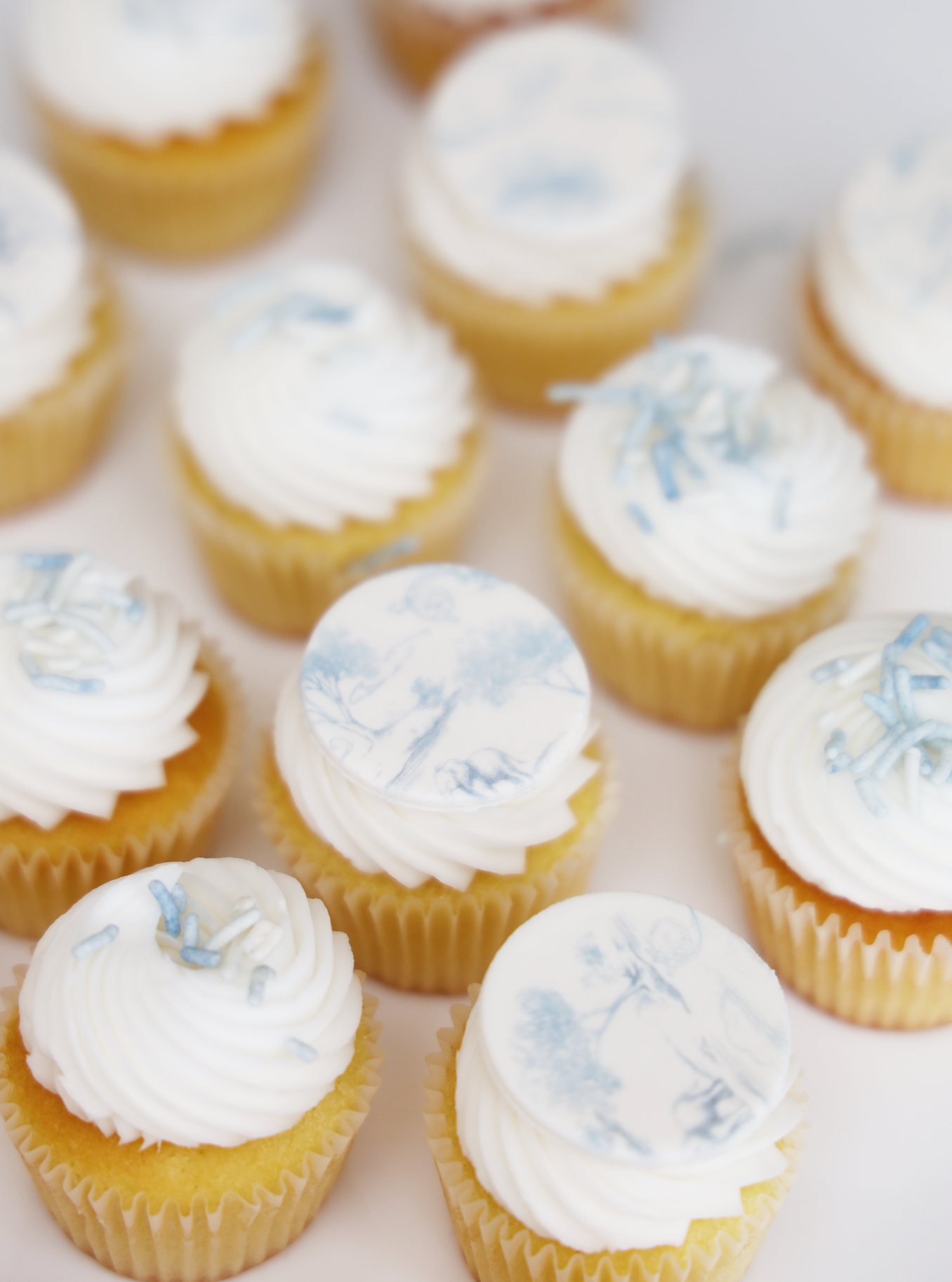 Blue Toile Mini Cupcake Set (24)
