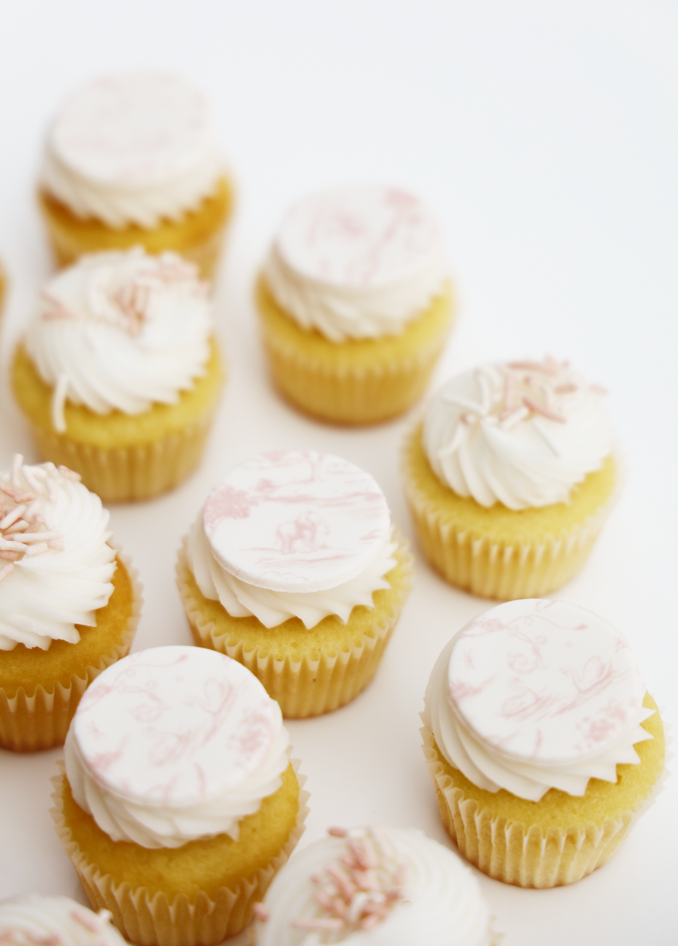 Pink Toile Mini Cupcake Set (24)