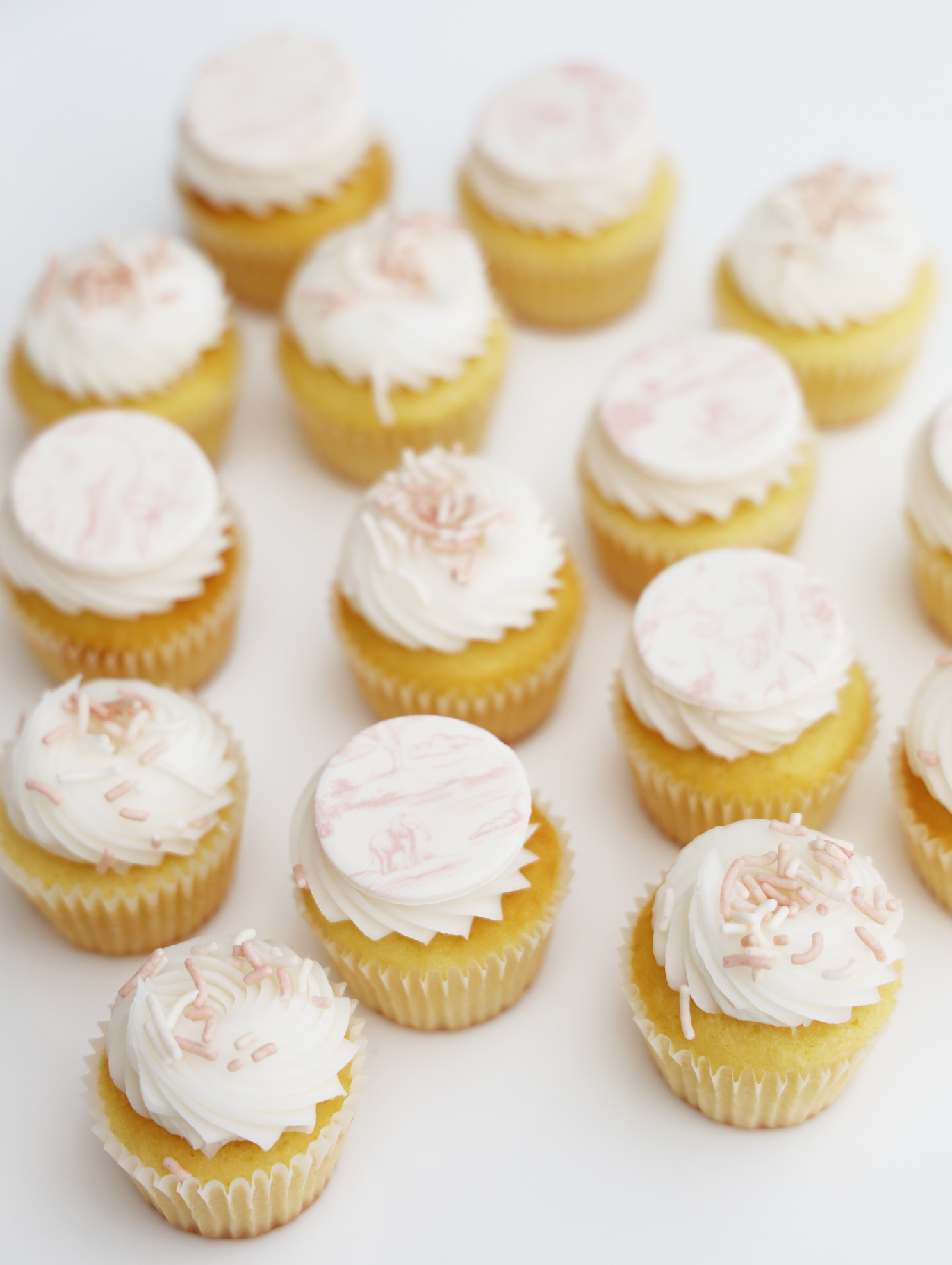 Pink Toile Mini Cupcake Set (24)