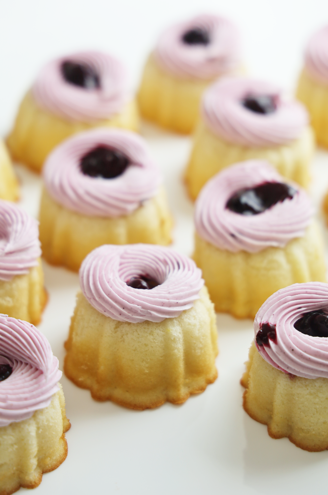 Mini Blueberry Bundt (12)