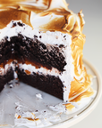 S'mores Fluffy Layer Cake