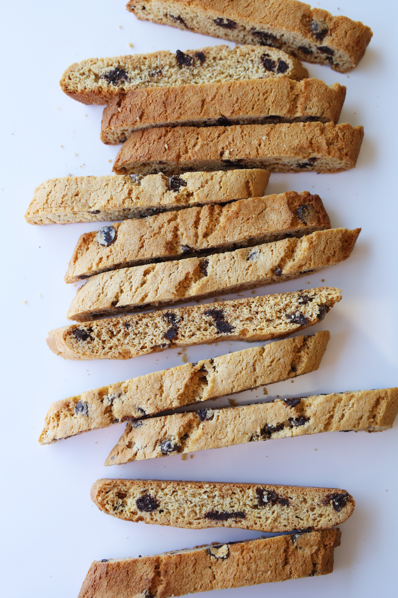 Chocolate Chip Biscotti- KFP
