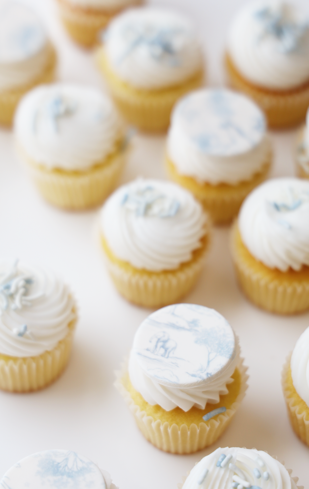 Blue Toile Mini Cupcake Set (24)
