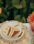 Tiramisu Layer Cake-PAREVE