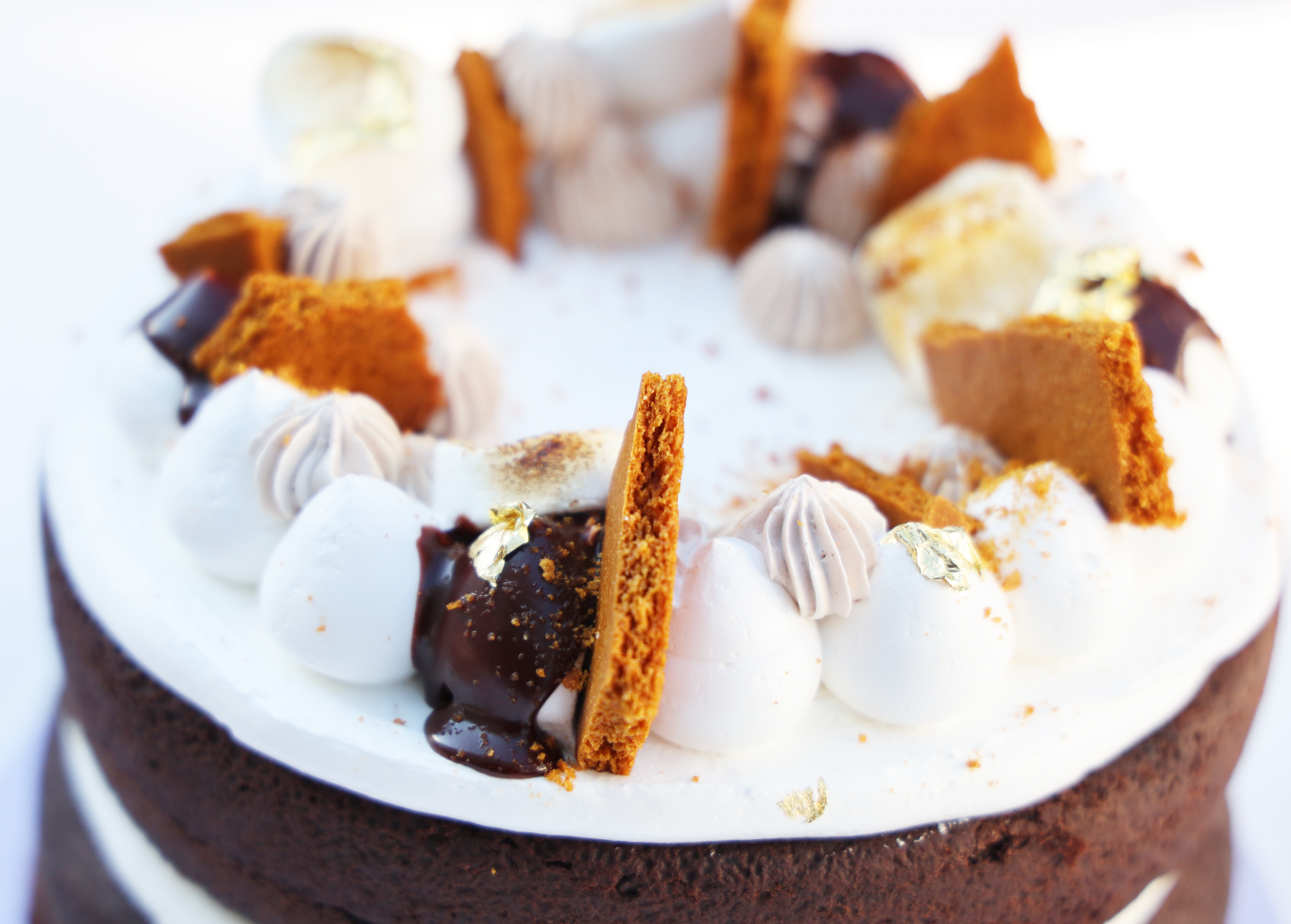 2 Layer S'mores Cake